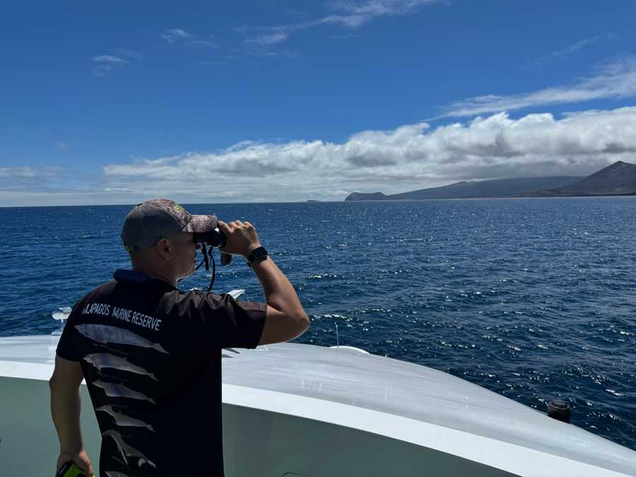 timeline-image-Day 10