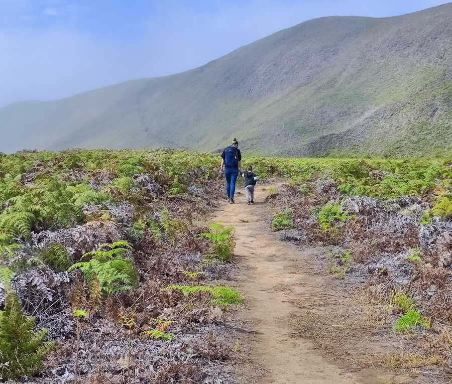 timeline-image-Day 4