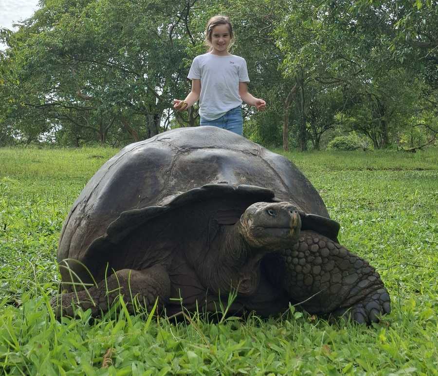 timeline-image-Day 2