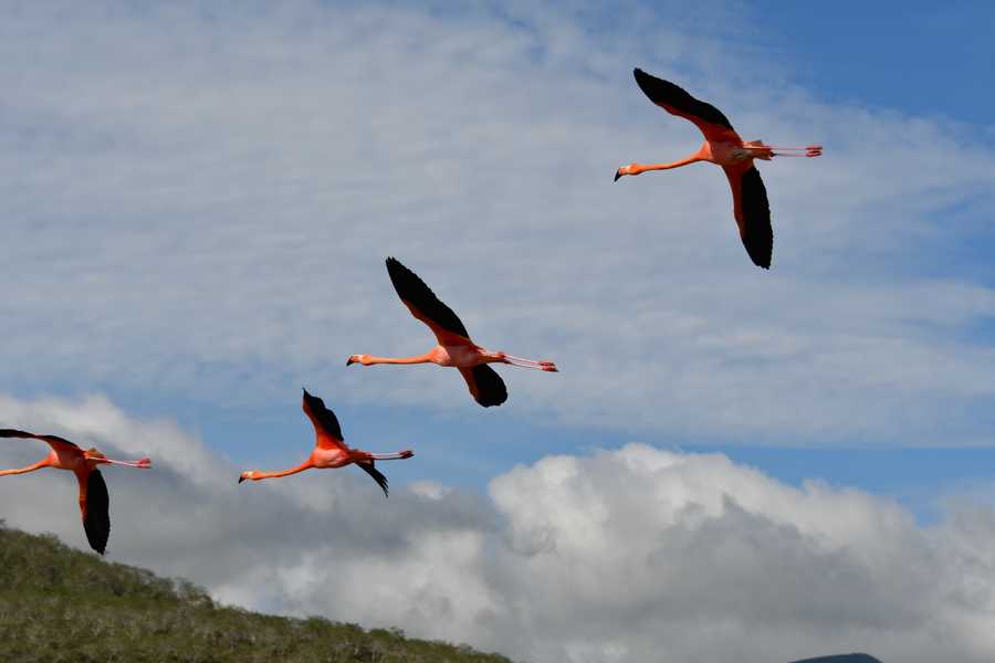 timeline-image-Day 7